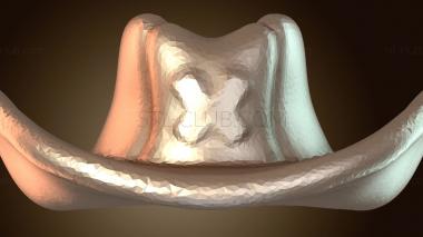 3D модель Ковбойская шляпа NSFW (STL)