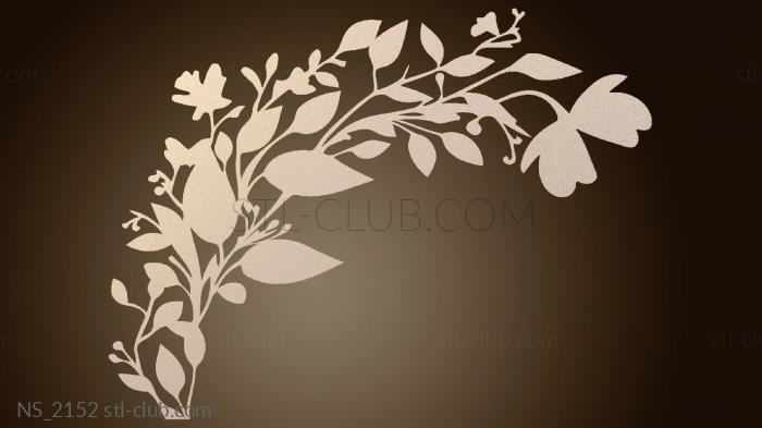 Нестандарт На стене Коракао Тендер