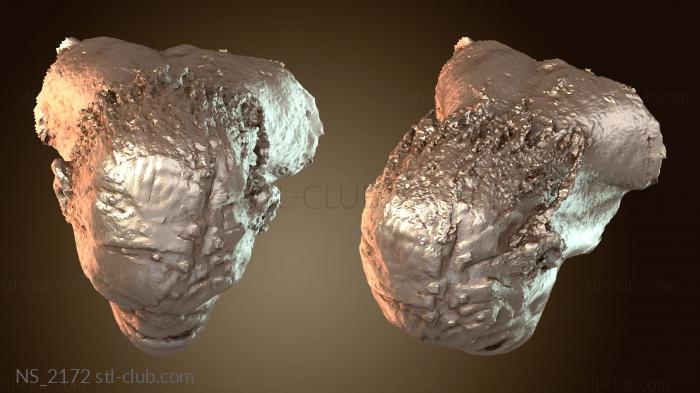 Нестандарт Орк Болг