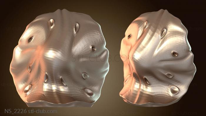 Нестандарт Пальмовый странный гриб