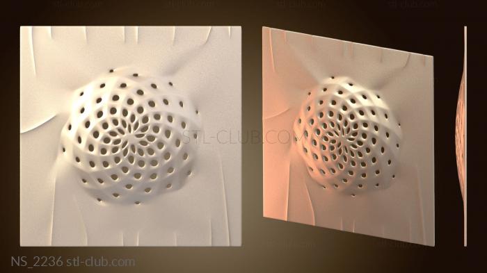 Нестандарт Филлотаксис из кориана