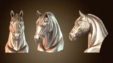 3D модель Пайп Кокс Дикая и прирученная лошадь (STL)