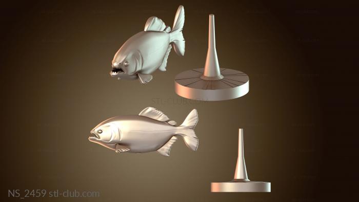 Нестандарт Quipper для Shapeways