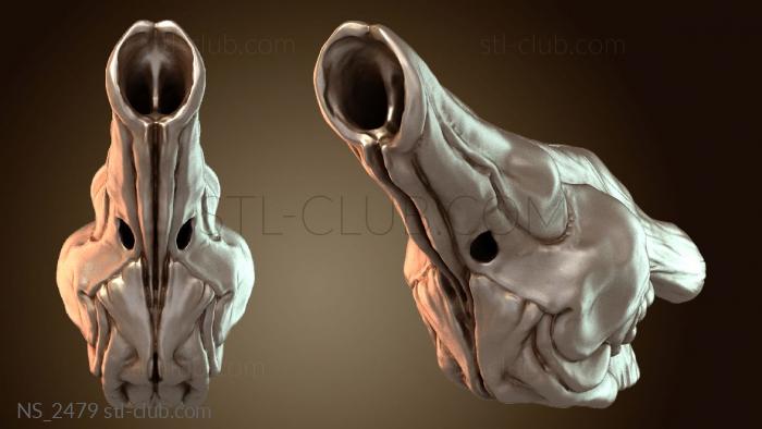 Нестандарт Резонирующая камера Raptor