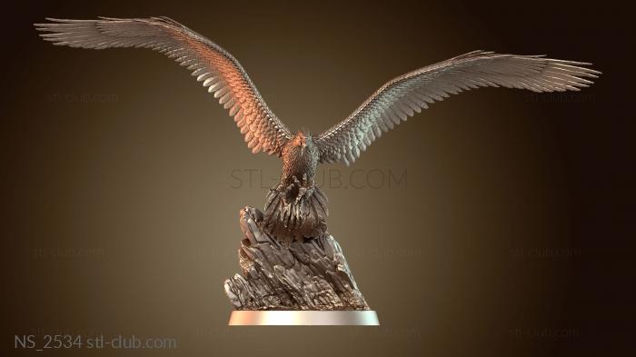 Нестандарт Roc Bodies