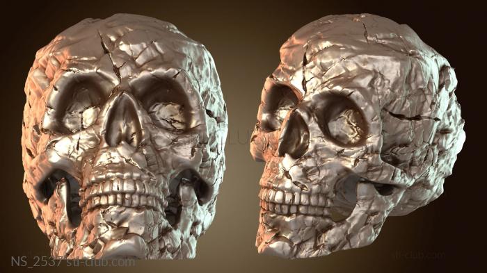 Нестандарт Каменный Череп Отдельно