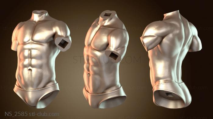 Нестандарт Сайтама и Тацумаки NSFW торс выразительный