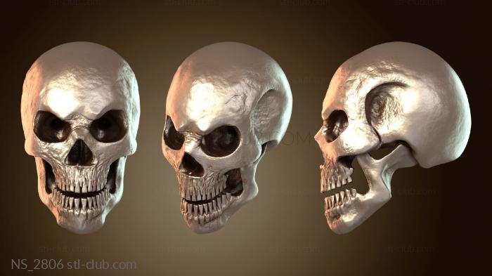 Нестандарт Стилизованный череп