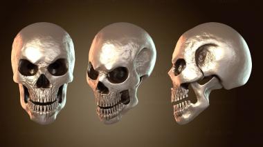 3D модель Стилизованный череп (STL)