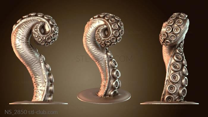 Нестандарт Щупальце