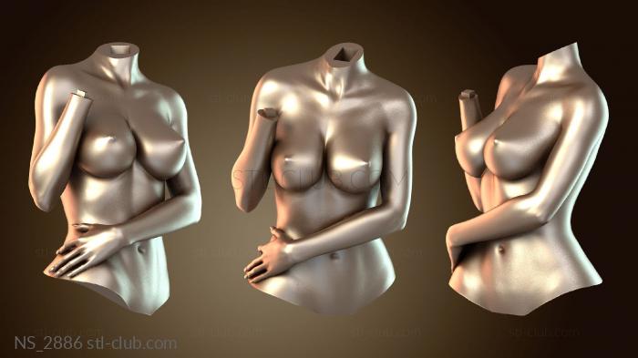 Нестандарт Красавица и Чудовище Белль Картина