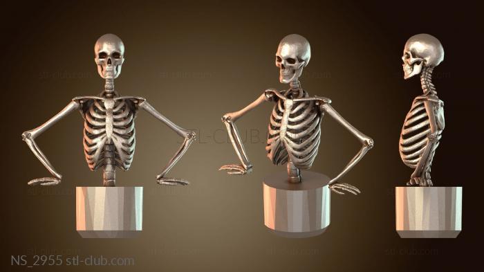 Нестандарт Скелеты из рулонов туалетной бумаги