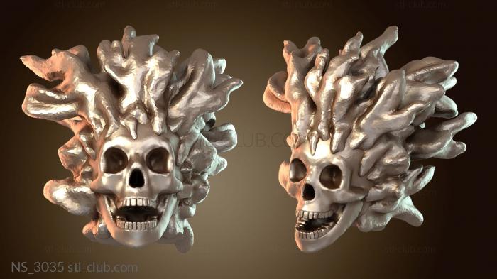 Нестандарт Немертвый пылающий череп