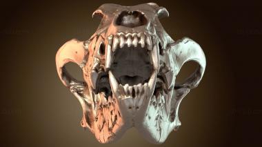 3D мадэль Волчий Череп Дикаря (STL)