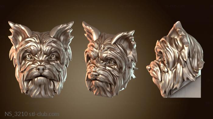 Нестандарт Йоркширский терьер