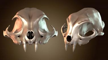 3D мадэль NS_3249 (STL)