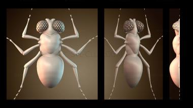 3D модель NS_3306 (STL)