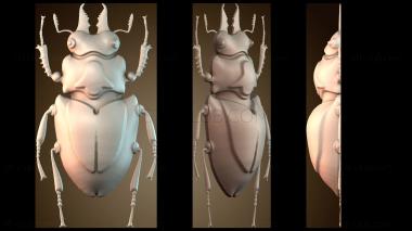 3D model NS_3307 (STL)