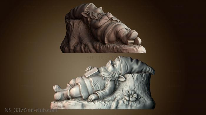 Нестандарт NS_3376