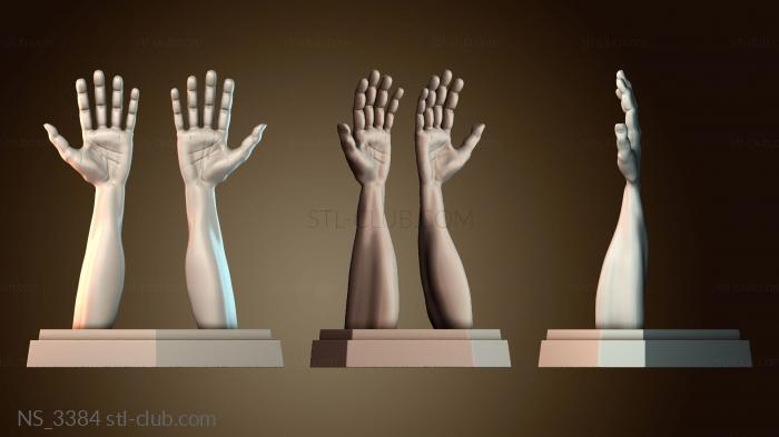 Нестандарт NS_3384