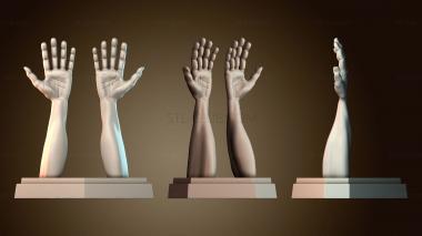 3D model NS_3384 (STL)