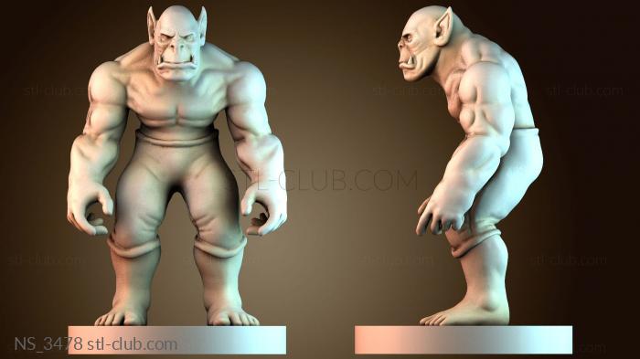 Нестандарт NS_3478