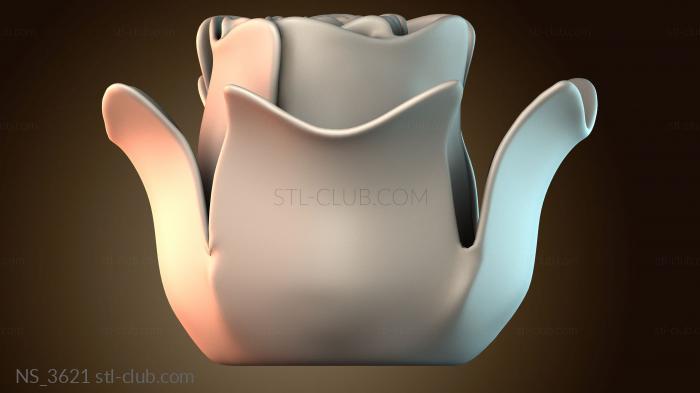 Нестандарт NS_3621