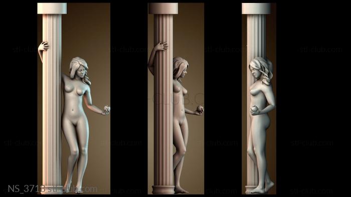 Нестандарт NS_3718