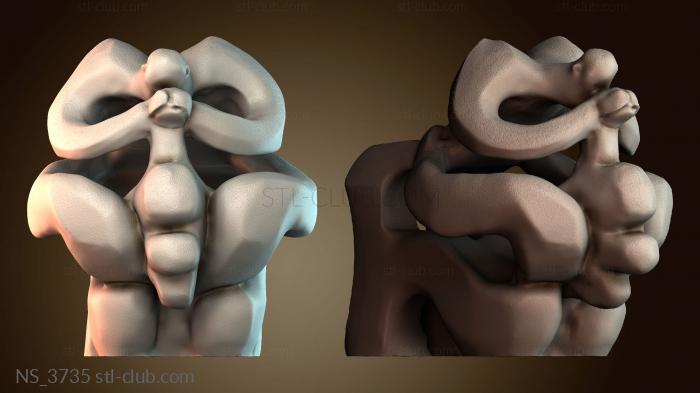 Нестандарт NS_3735