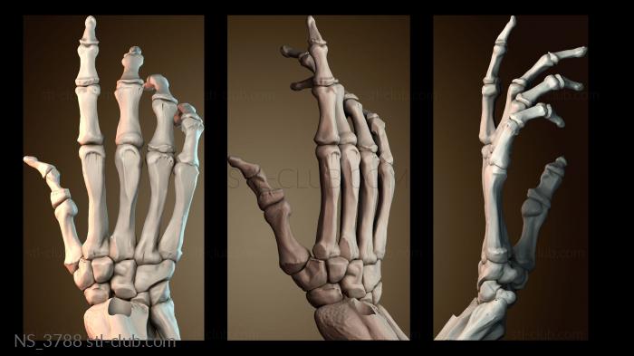 Нестандарт NS_3788