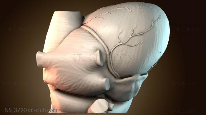 Нестандарт NS_3790