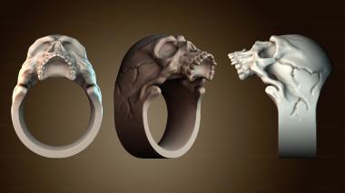 3D мадэль NS_3798 (STL)