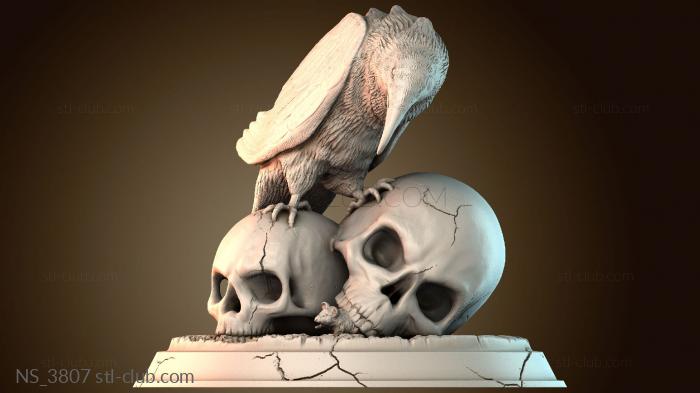 Нестандарт NS_3807