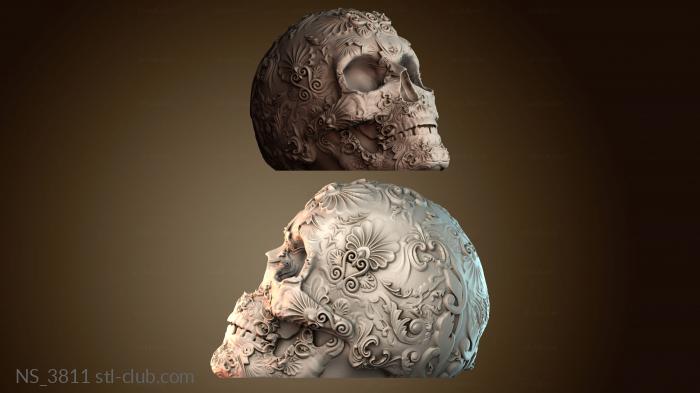 Нестандарт NS_3811