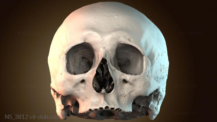 Нестандарт NS_3812