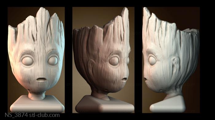 Нестандарт NS_3874