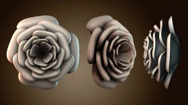 3D мадэль NS_3884 (STL)