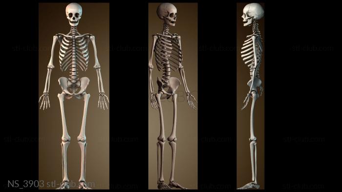 Нестандарт NS_3903