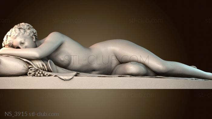 Нестандарт NS_3915