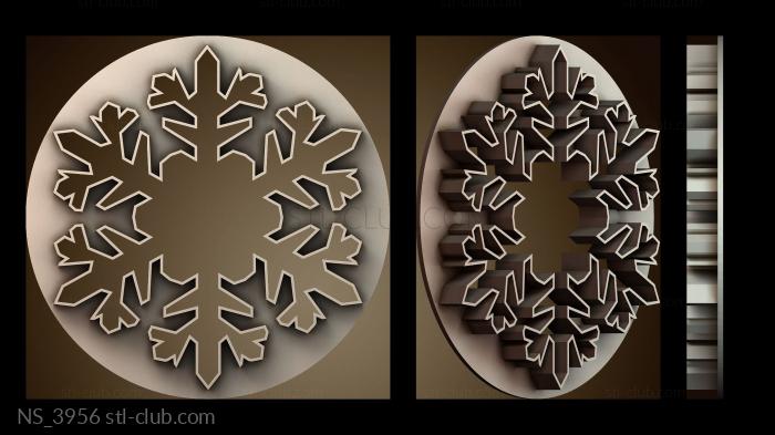 Нестандарт NS_3956