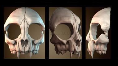 3D модель NS_4026 (STL)