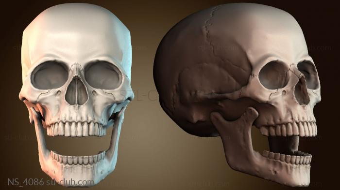 Нестандарт NS_4086