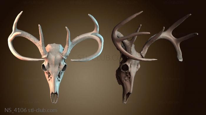 Нестандарт NS_4106