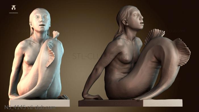 Нестандарт NS_4145