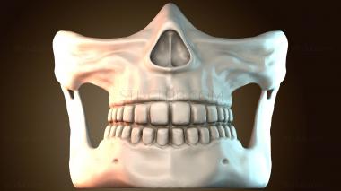 3D model NS_4159 (STL)