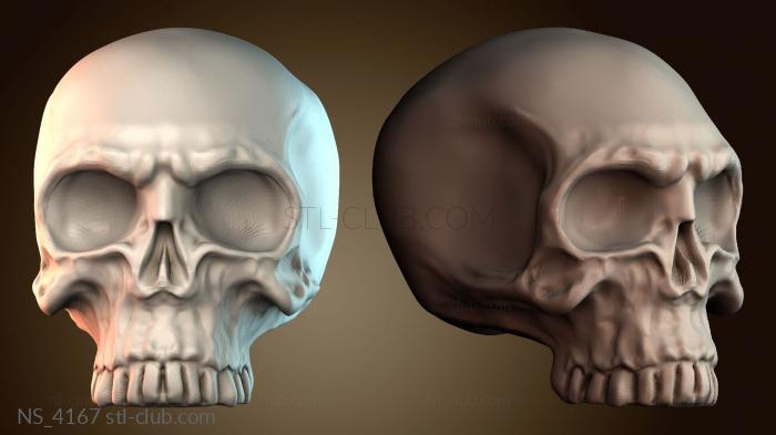Нестандарт NS_4167