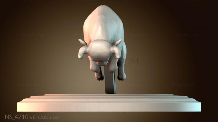 Нестандарт NS_4210