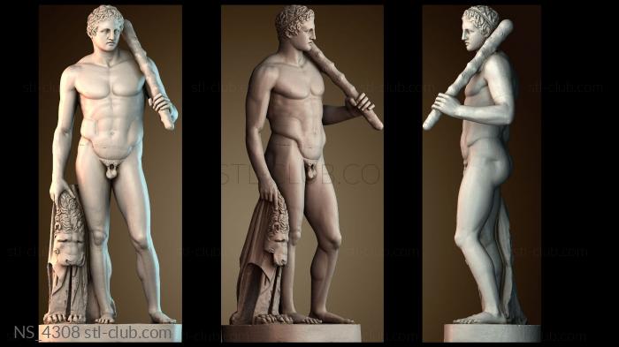 Нестандарт NS_4308