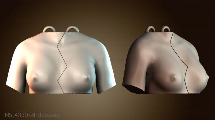 Нестандарт NS_4330