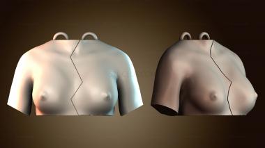 3D model NS_4330 (STL)